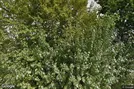 Lager til leje, Hillerød, &lt;span class=&quot;blurred street&quot; onclick=&quot;ProcessAdRequest(196003)&quot;&gt;&lt;span class=&quot;hint&quot;&gt;Se vej-navn&lt;/span&gt;[xxxxxxxxxx]&lt;/span&gt;