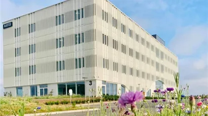 Kontorlokale med plads til 8–10 medarbejdere – inkl. eget mødelokale