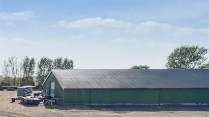 Stor hal med port og gode tilkørselsforhold