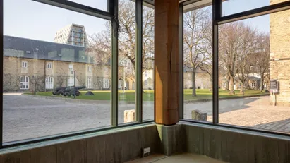 Trangravshusene: Showroom i første række til kanal og kulturarv
