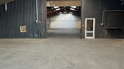 Lager/ produktions hal til leje