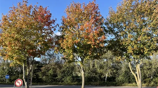 Kontorlokaler til leje i Århus N - billede 6